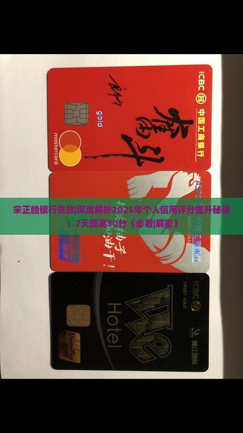 宋正皓银行贷款
