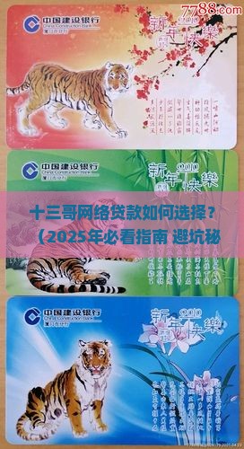 十三哥网络贷款