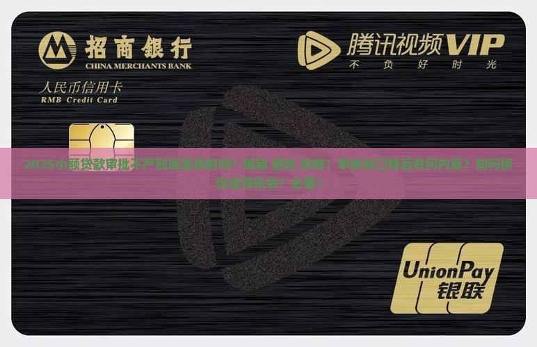 小额贷款审批不严