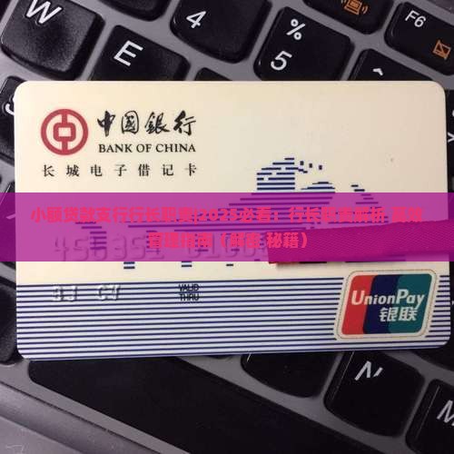 小额贷款支行行长职责