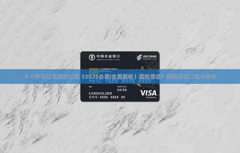 十八岁可以贷款的公司