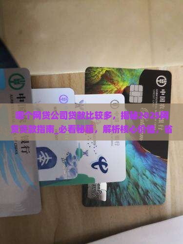 哪个网贷公司贷款比较多