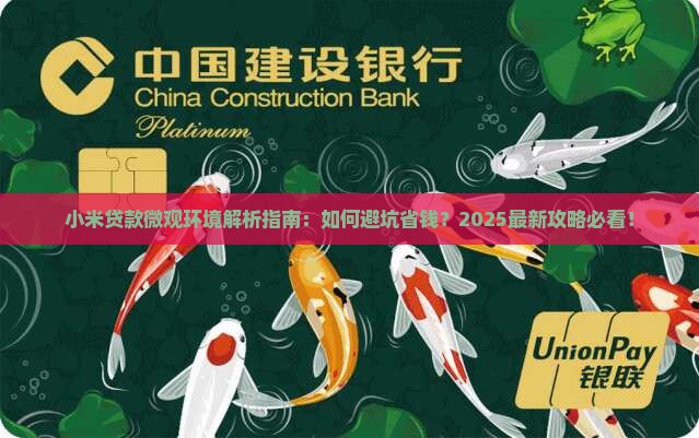 小米贷款微观环境