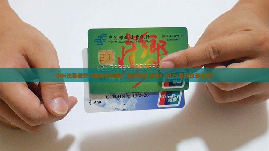 小米贷款微观环境