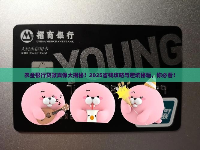 农金银行的贷款如何
