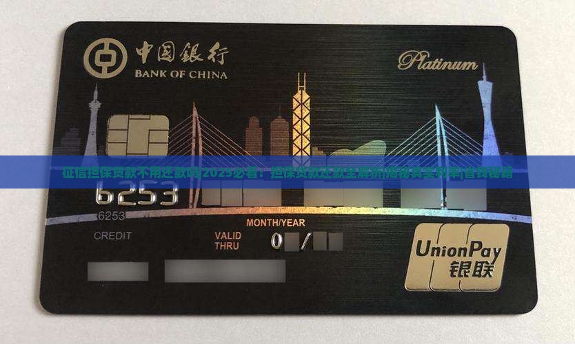 征信担保贷款不用还款吗