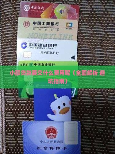 小额贷款要交什么费用呢 小额贷款要交什么费用呢
