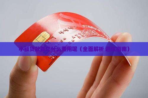 小额贷款要交什么费用呢 小额贷款要交什么费用呢