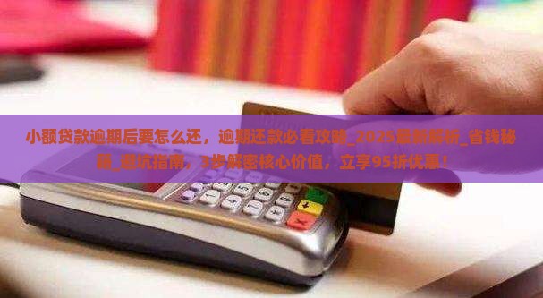小额贷款逾期后要怎么还