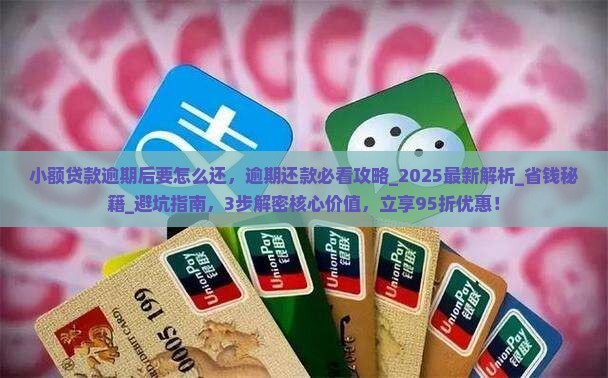 小额贷款逾期后要怎么还