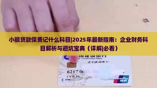 小额贷款保费记什么科目