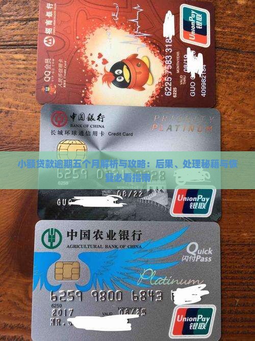 小额贷款逾期五个月