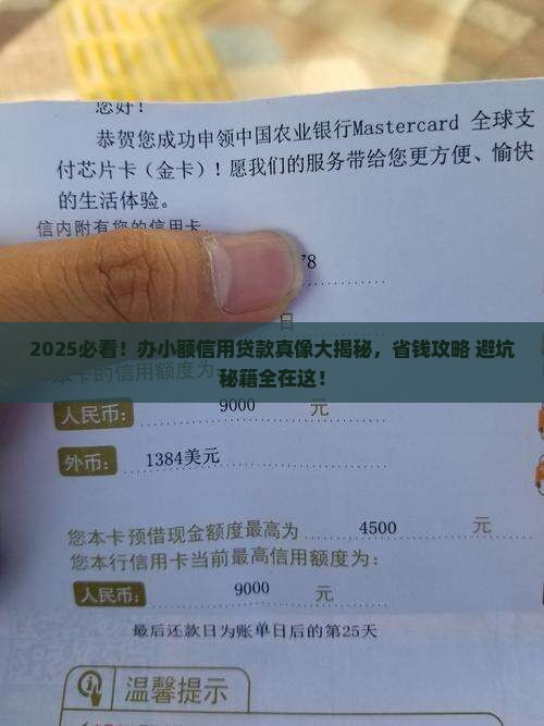 如何办小额信用贷款