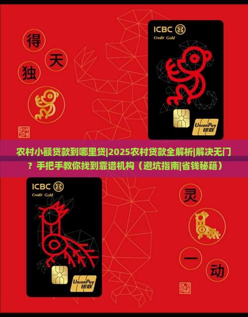 农村小额贷款到哪里贷