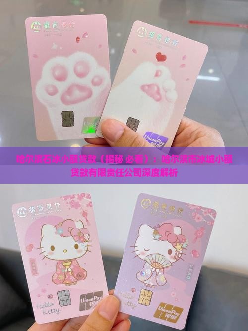 哈尔滨石冰小额贷款