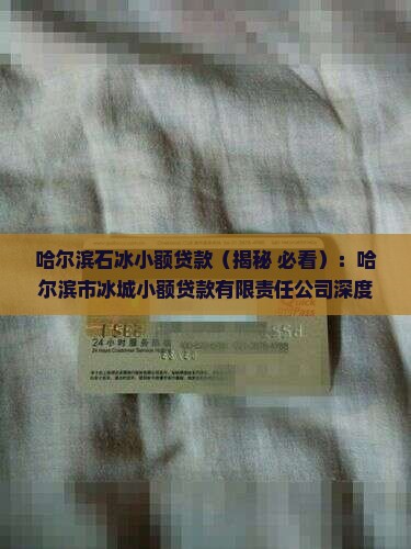 哈尔滨石冰小额贷款