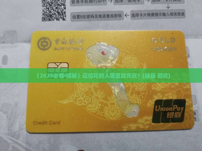 征信花哪个银行能贷款