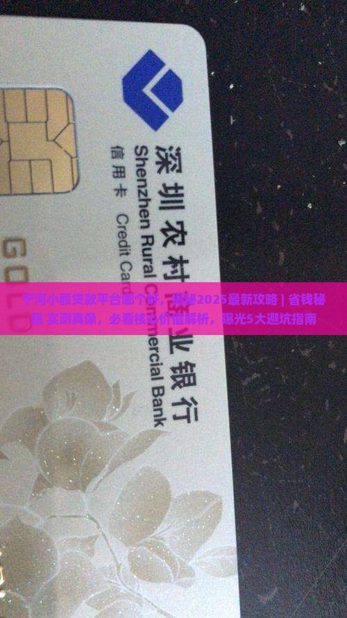 宁河小额贷款平台哪个好