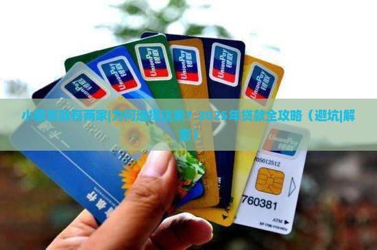 小额贷款有两家