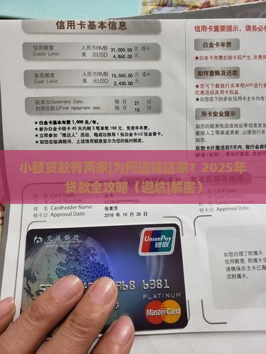小额贷款有两家