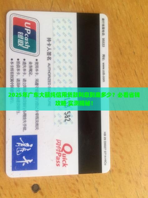 广东大额纯信用贷款利息多少