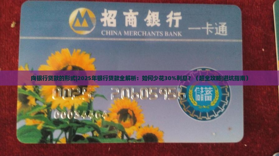 向银行贷款的形式 向银行贷款的形式