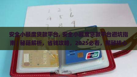 安全小额度贷款平台 安全小额度贷款平台