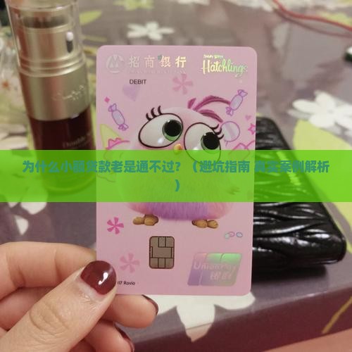 小额贷款通不过什么情况