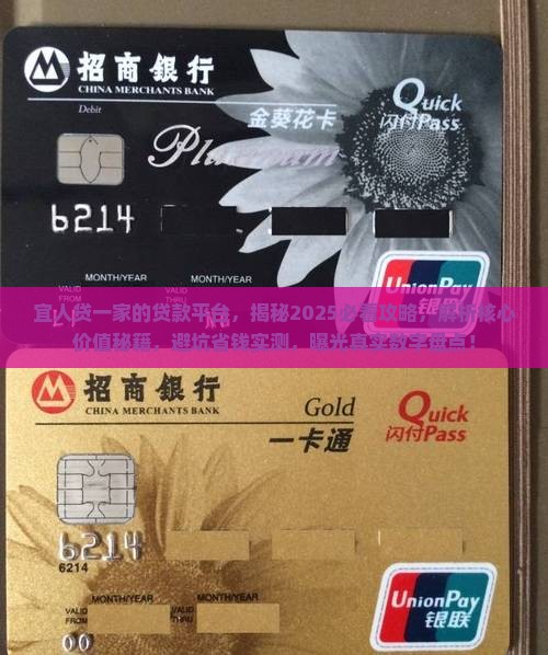 宜人贷一家的贷款平台