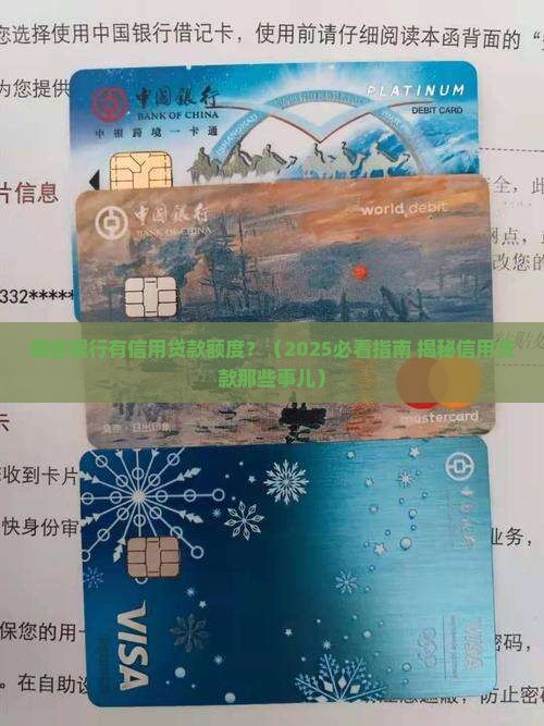 哪些银行有信用贷款的额度
