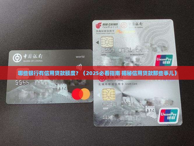 哪些银行有信用贷款的额度