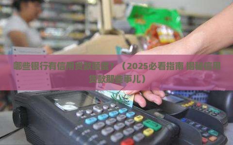 哪些银行有信用贷款的额度