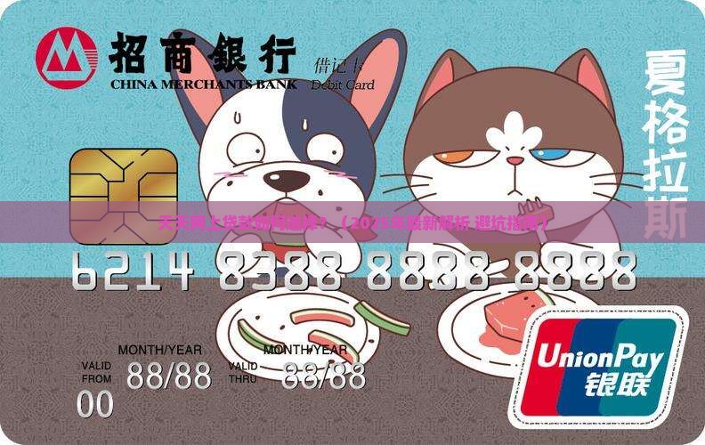 天天网上贷款