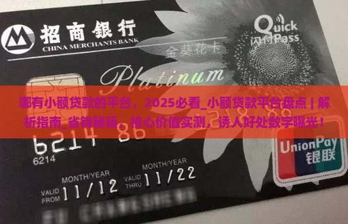 哪有小额贷款的平台
