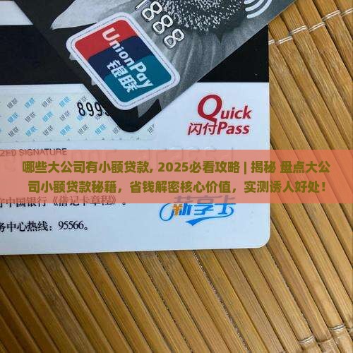 哪些大公司有小额贷款