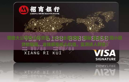 哪些大公司有小额贷款