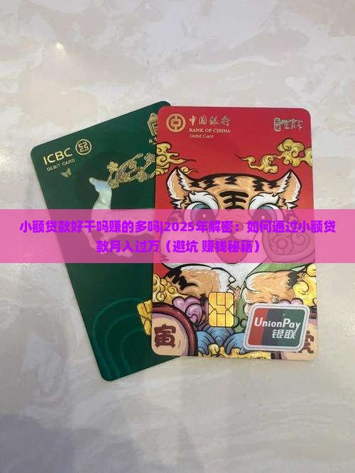 小额贷款好干吗赚的多吗