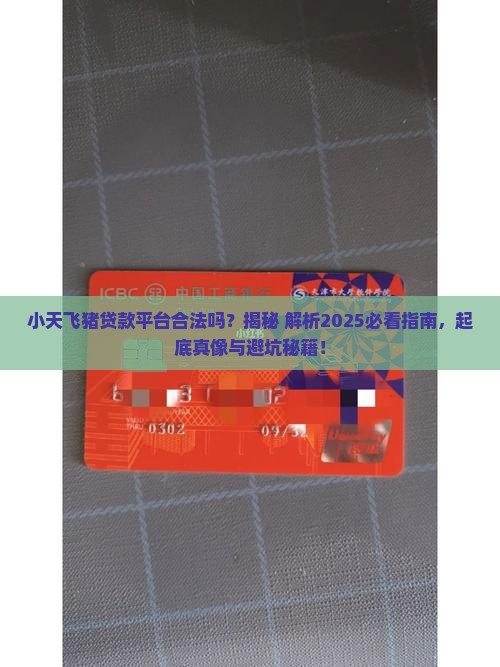 小天飞猪贷款平台合法吗