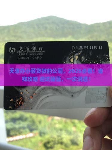 天津办小额贷款的公司