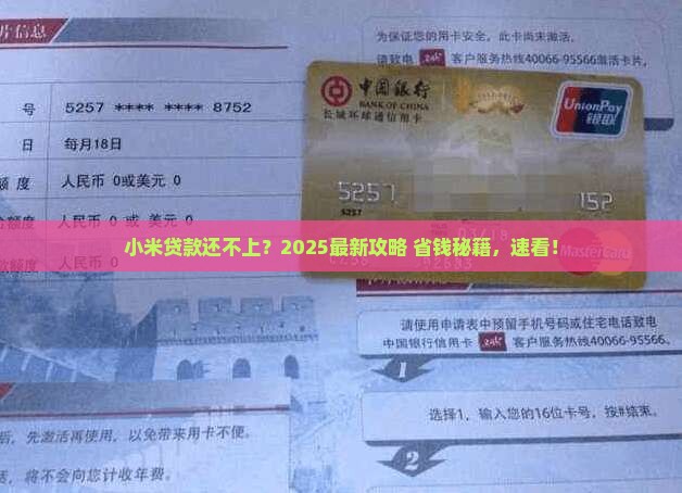 小米贷款没钱还怎么办