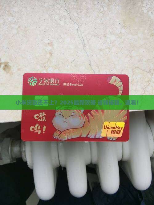 小米贷款没钱还怎么办