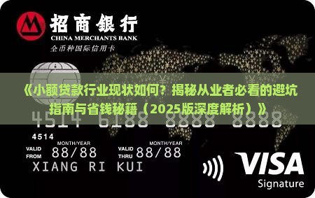 小额贷款从业现状分析