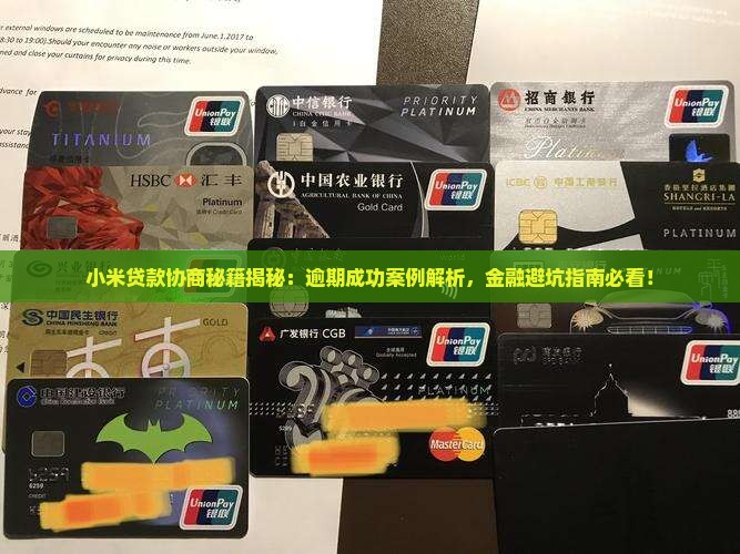 小米贷款成功案例