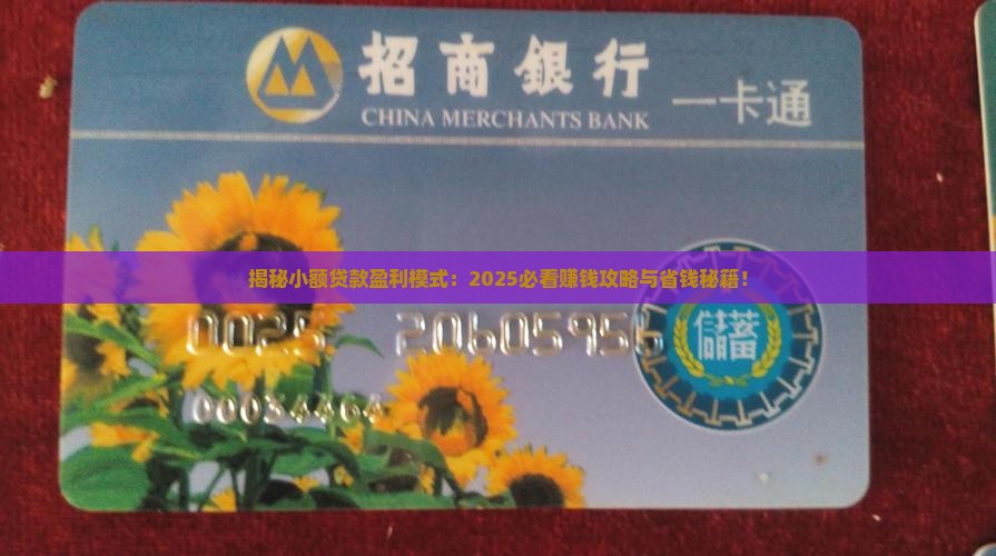 开小额贷款盈利模式 开小额贷款盈利模式