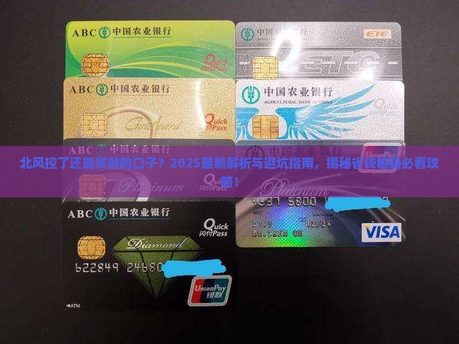 北风控了还能贷款的口子