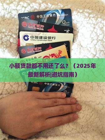 小额贷款都不用还了么
