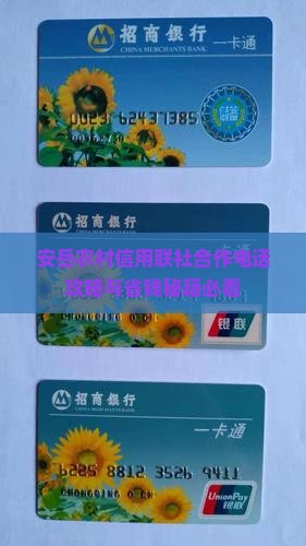 安岳农信信用贷款电话