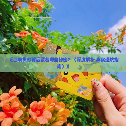 口袋贷款是哪个公司