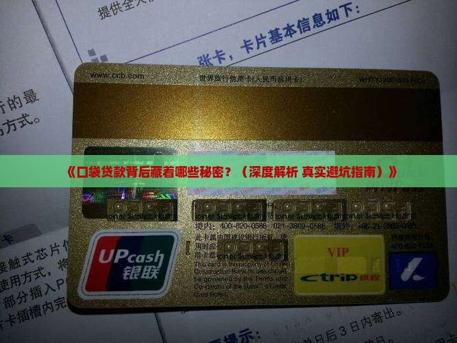 口袋贷款是哪个公司