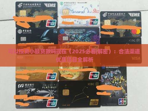 可以投资小额贷款吗现在